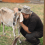 Editor’s Desk: The Wise Goat Named Sadie
